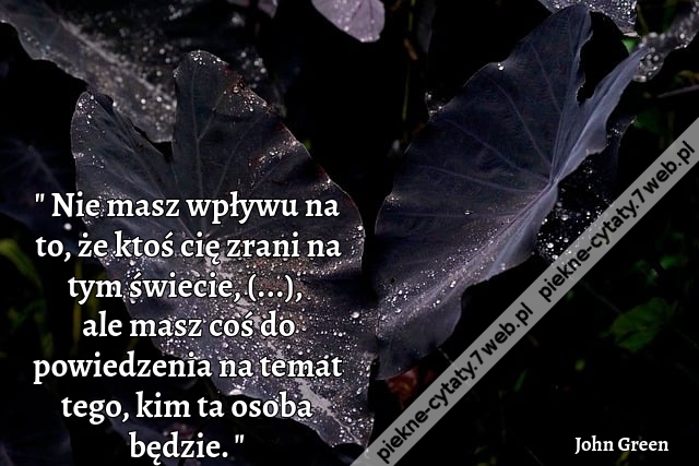 Nie masz wpływu na to, że ktoś cię zrani na tym świecie, staruszku, ale masz coś do powiedzenia na temat tego, kim ta osoba będzie.
